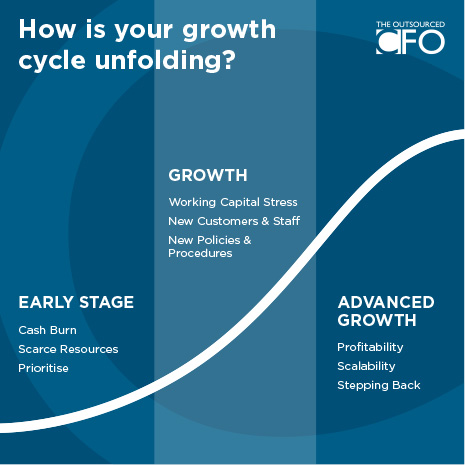 business growth cycle
